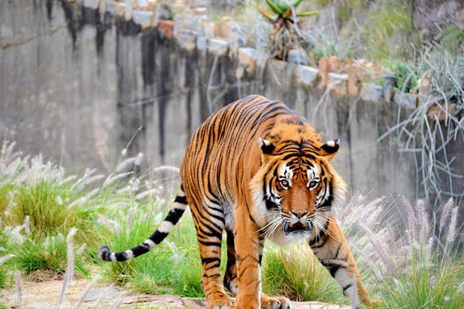 family-things-to-do-in-pretoria