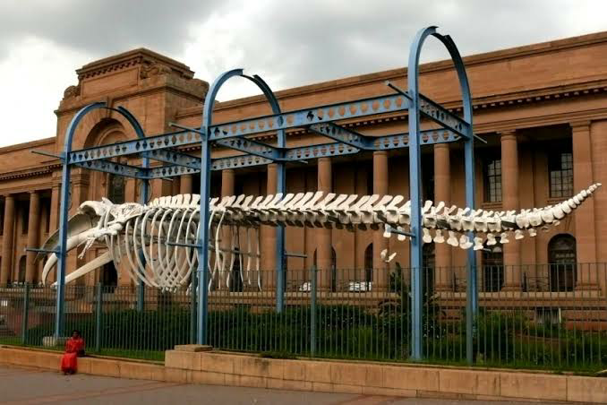 what-things-to-do-in-pretoria