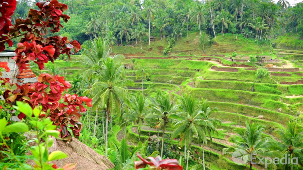 Bali Video Travel Guide | Expedia Asia | CISERO
